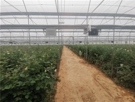 玉溪大營街花之?；ɑ?T/h直飲水項目